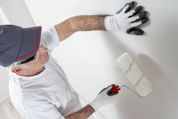Best Biohazard Mold Removal  in Lincolndale, NY