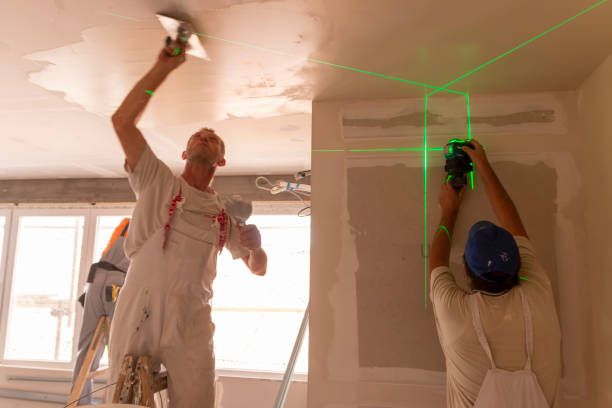 Best Mold Prevention Services  in Lincolndale, NY