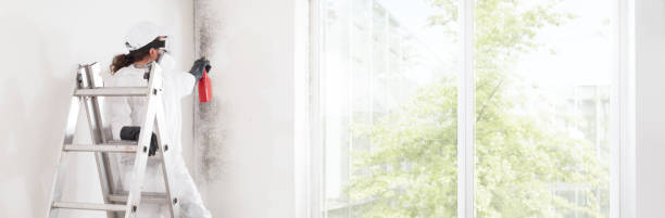 Dehumidification Services in Lincolndale, NY