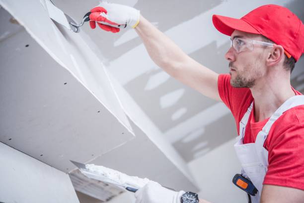Best Residential Mold Inspection & Testing  in Lincolndale, NY